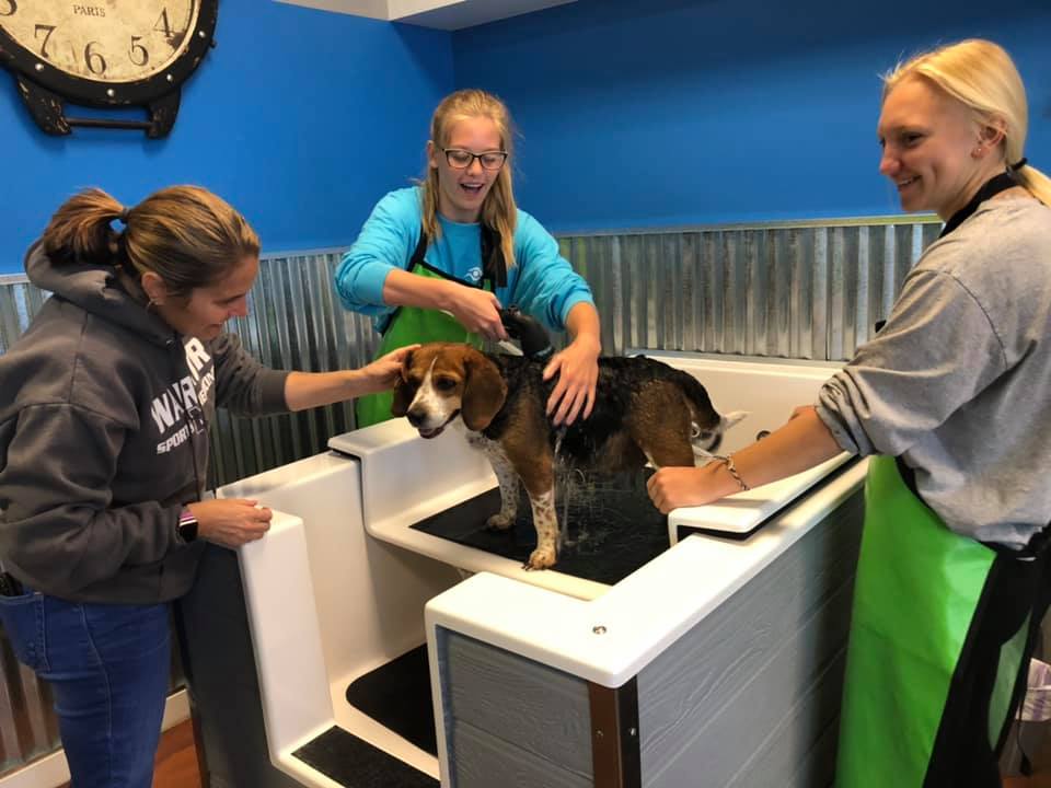 three girls washing a dog in a tub